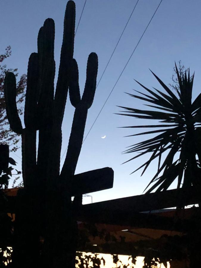 La Casita Del Cactus - Casa De Campo Con Piscina Alcala de Guadaira Bagian luar foto