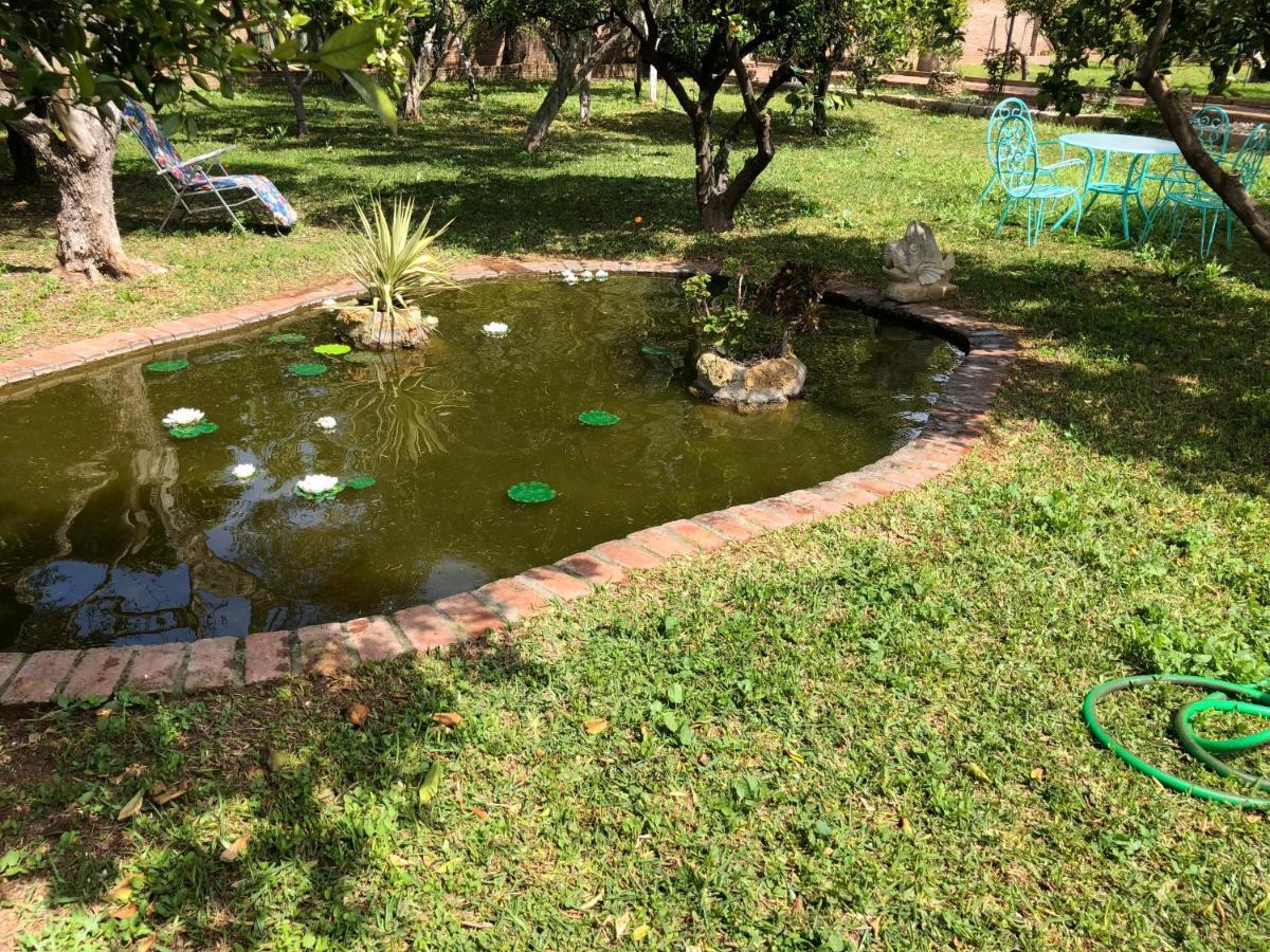 La Casita Del Cactus - Casa De Campo Con Piscina Alcala de Guadaira Bagian luar foto