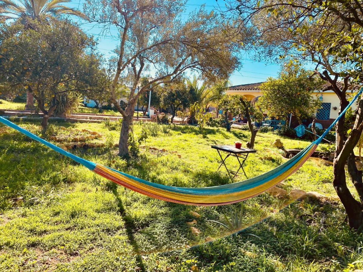 La Casita Del Cactus - Casa De Campo Con Piscina Alcala de Guadaira Bagian luar foto