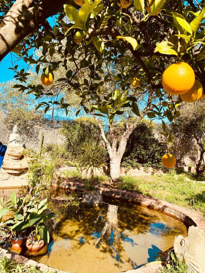 La Casita Del Cactus - Casa De Campo Con Piscina Alcala de Guadaira Bagian luar foto